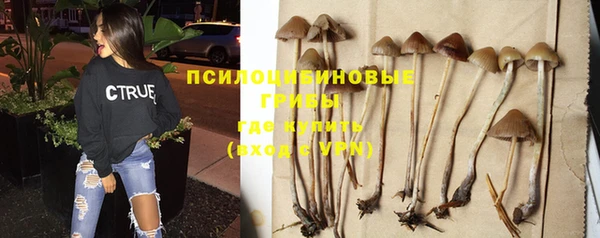 дмт Протвино