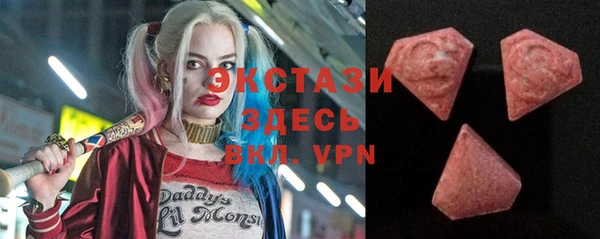дмт Протвино